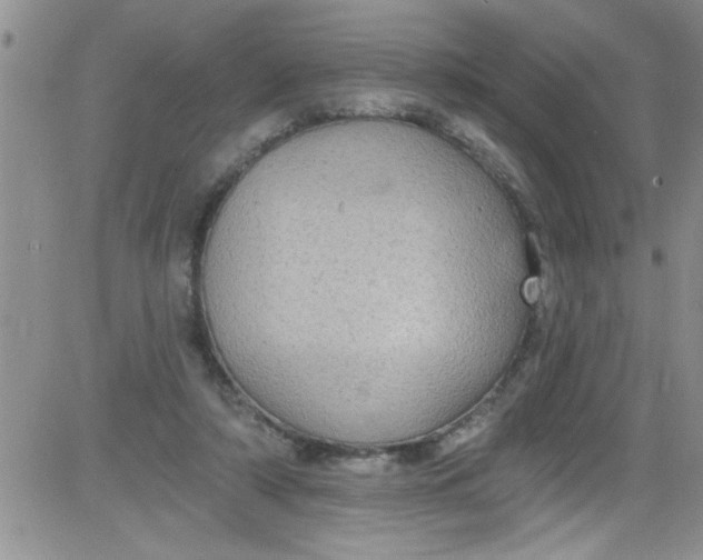 X0000084050306200703022221