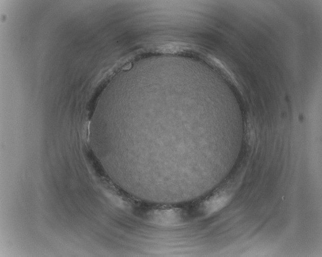 X0000084050307200703022221