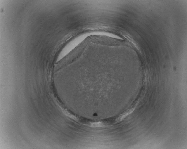 X0000084050309200703022221