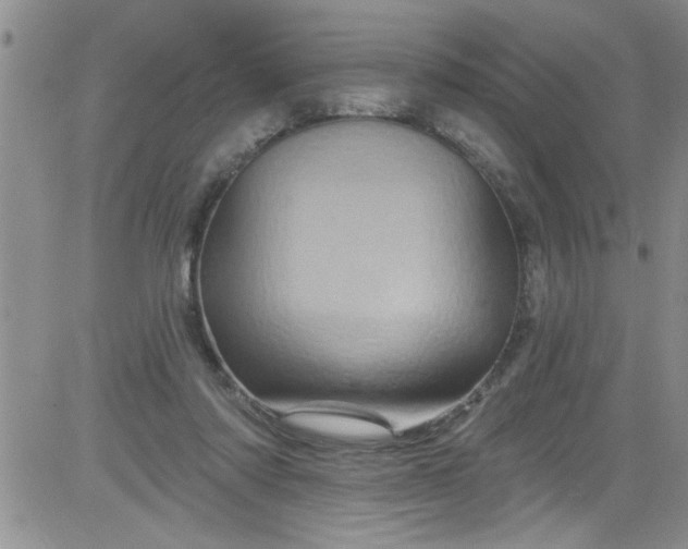 X0000084050310200703022221