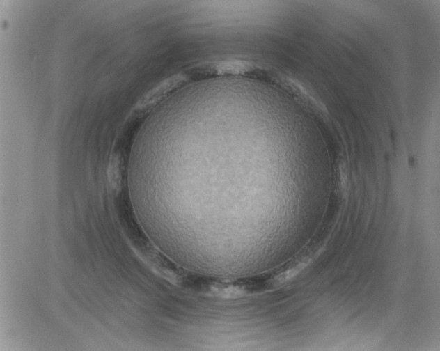 X0000084050311200703022221