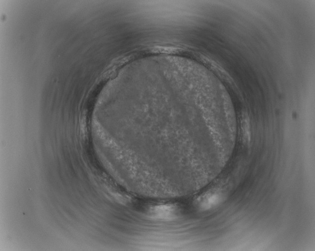 X0000084050312200703022221