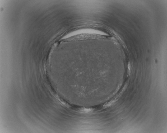 X0000084050313200703022221