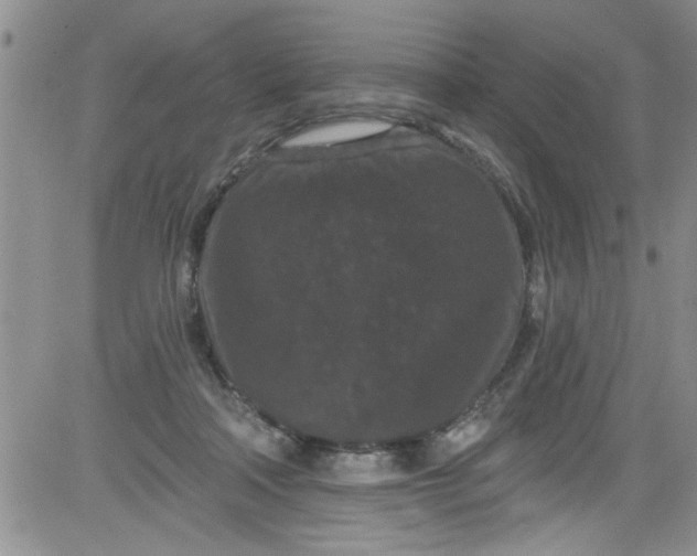 X0000084050314200703022221