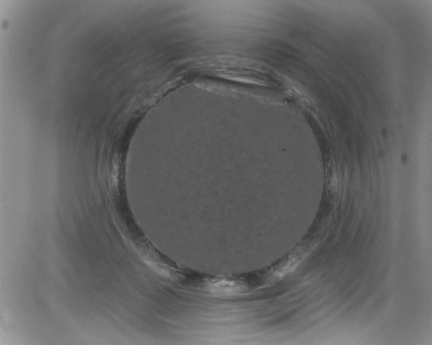 X0000084050315200703022221