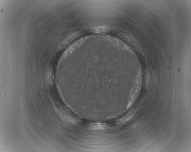 X0000084050316200703022221