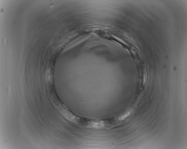 X0000084050317200703022221