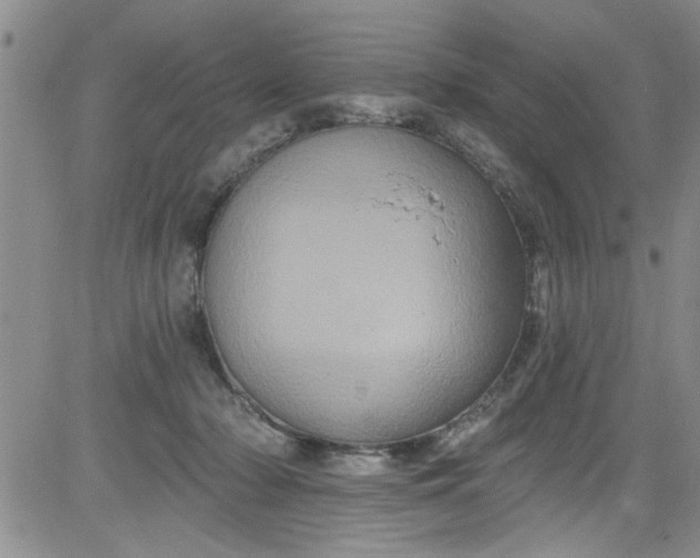 X0000084050318200703022221