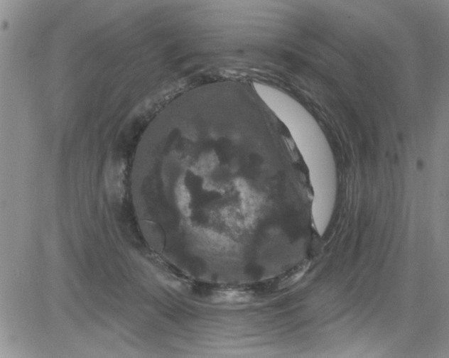 X0000084050319200703022221