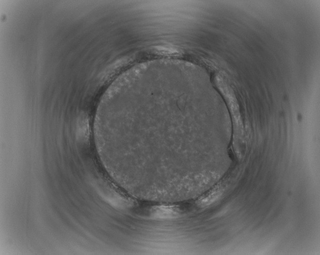 X0000084050320200703022221