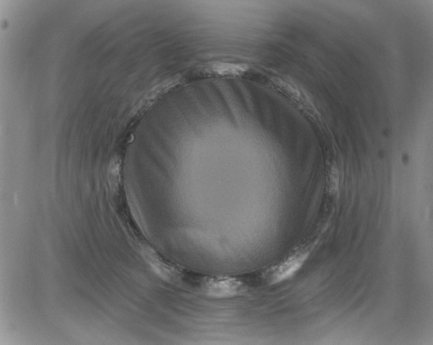 X0000084050321200703022221