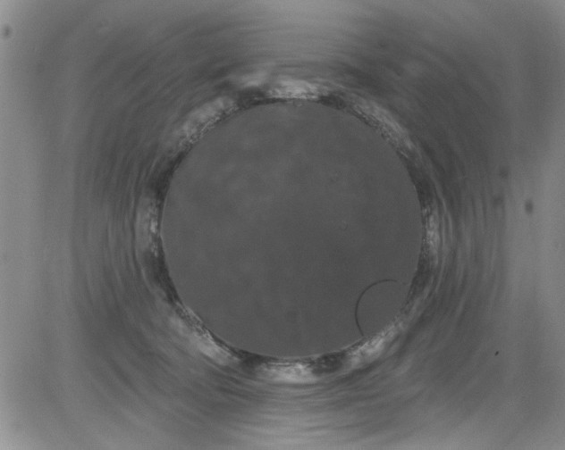 X0000084050322200703022221