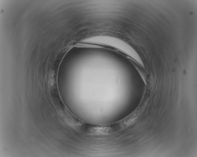 X0000084050323200703022221