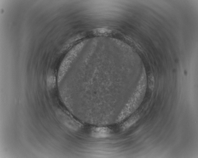 X0000084050324200703022221