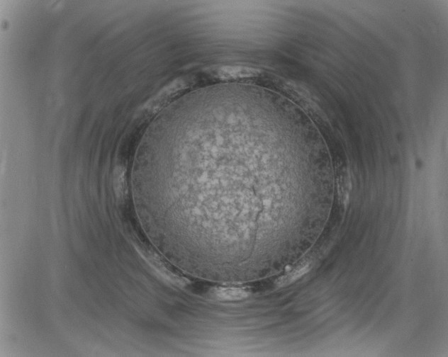 X0000084050327200703022221