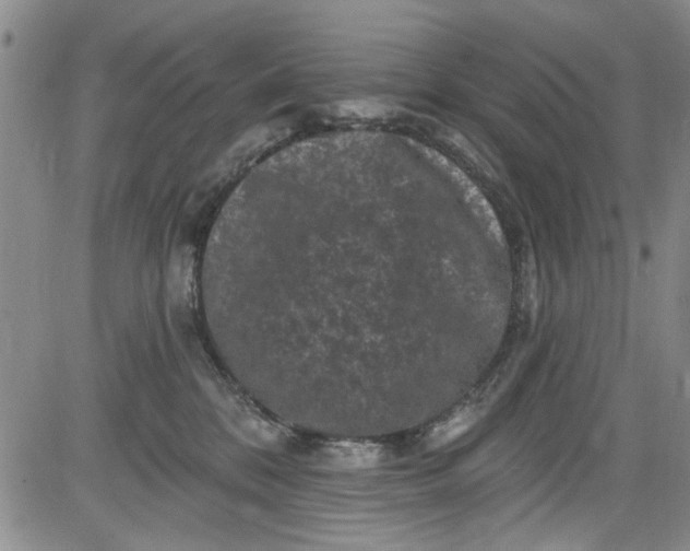 X0000084050328200703022221