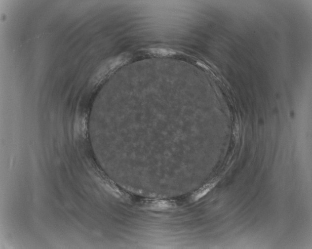 X0000084050330200703022221