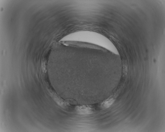 X0000084050331200703022221