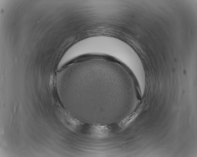 X0000084050333200703022221