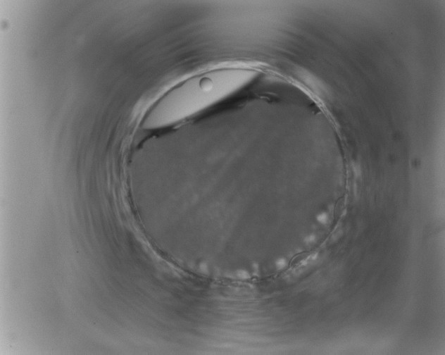 X0000084050337200703022220