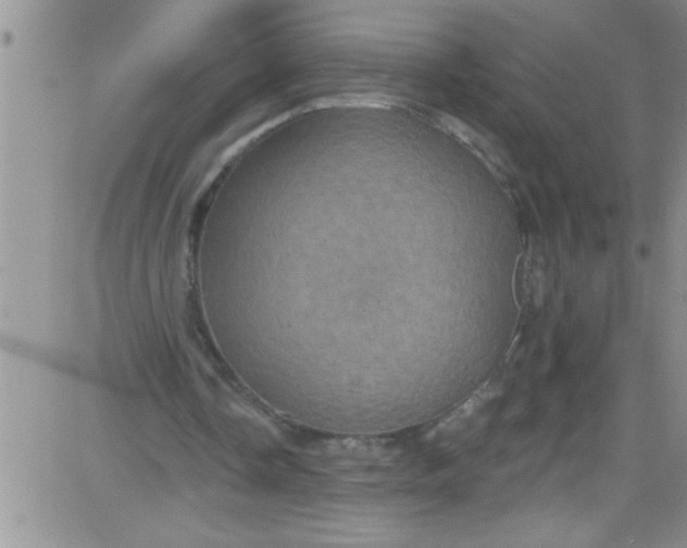 X0000084050338200703022220