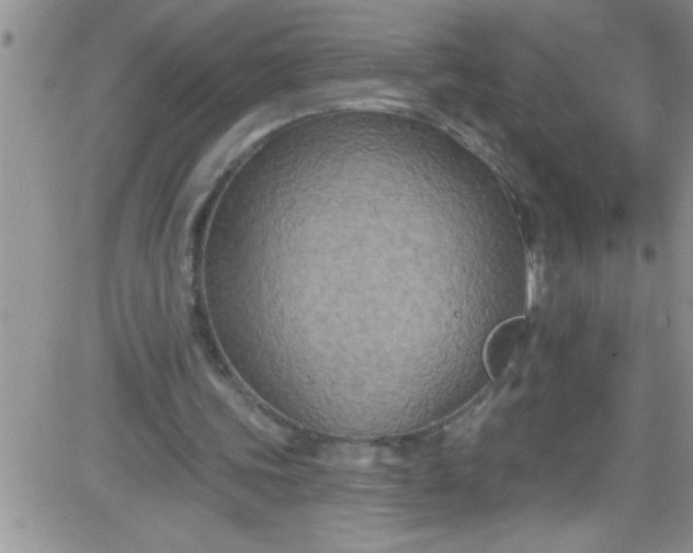 X0000084050339200703022220