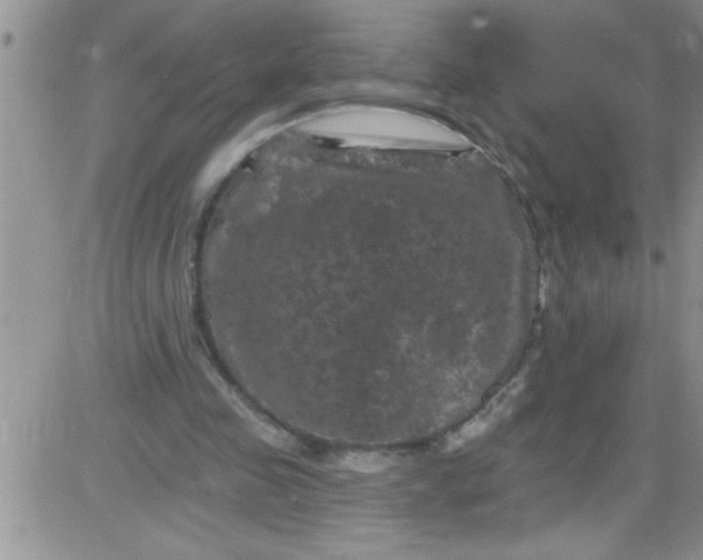 X0000084050341200703022220