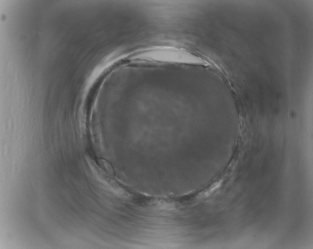 X0000084050343200703022220