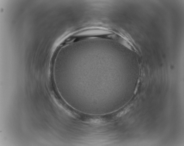 X0000084050344200703022220