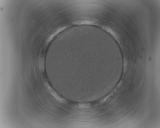 X0000084050345200703022220