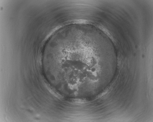 X0000084050347200703022220