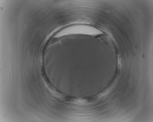 X0000084050348200703022220