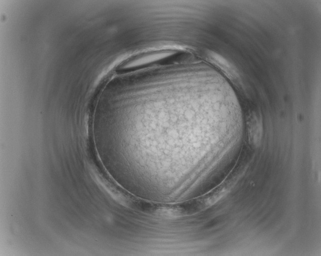 X0000084050350200703022220