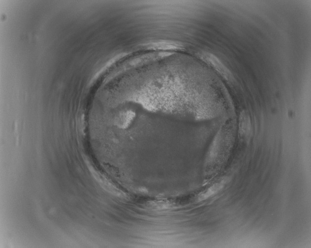 X0000084050351200703022220