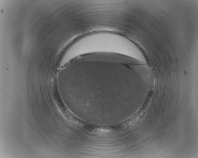 X0000084050352200703022220