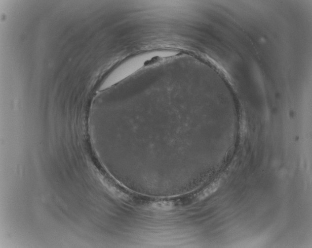 X0000084050353200703022220