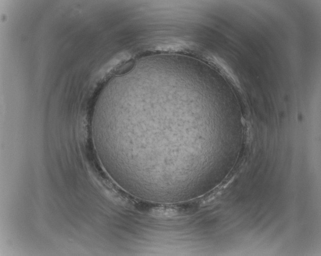 X0000084050354200703022220