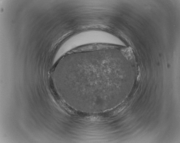 X0000084050356200703022220