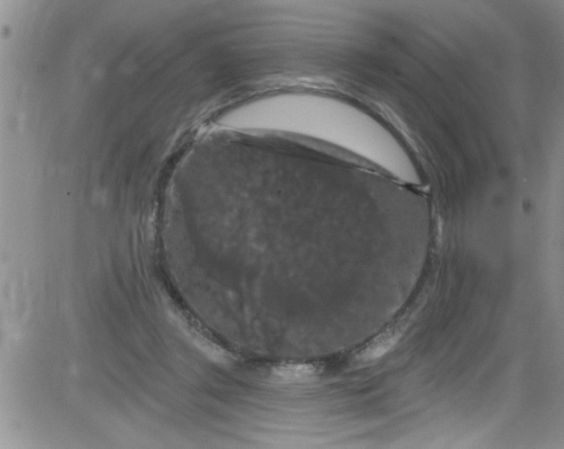 X0000084050357200703022220