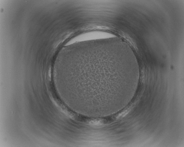 X0000084050358200703022220