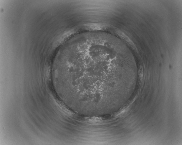 X0000084050359200703022220