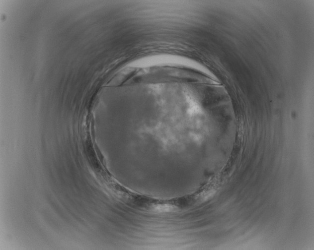 X0000084050360200703022220