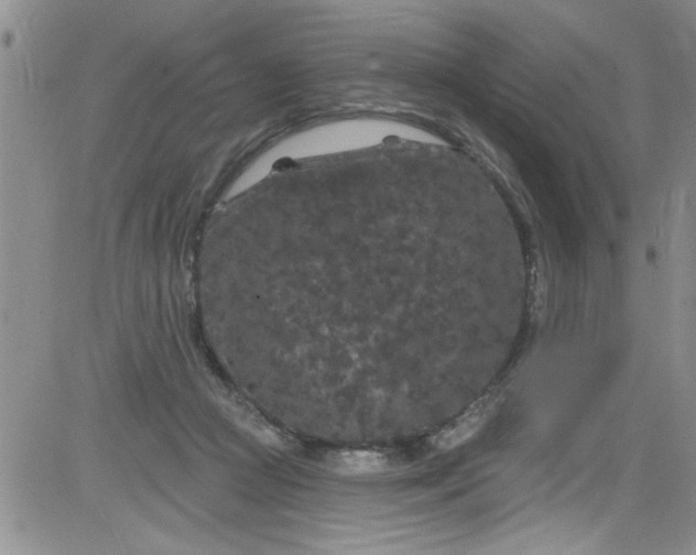 X0000084050361200703022221