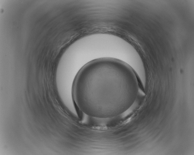 X0000084050362200703022221