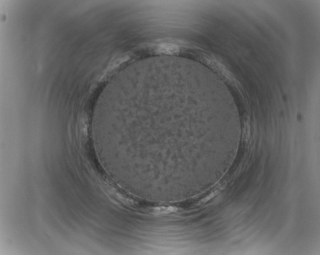 X0000084050363200703022221