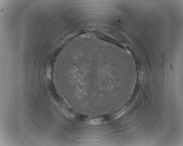 X0000084050368200703022221