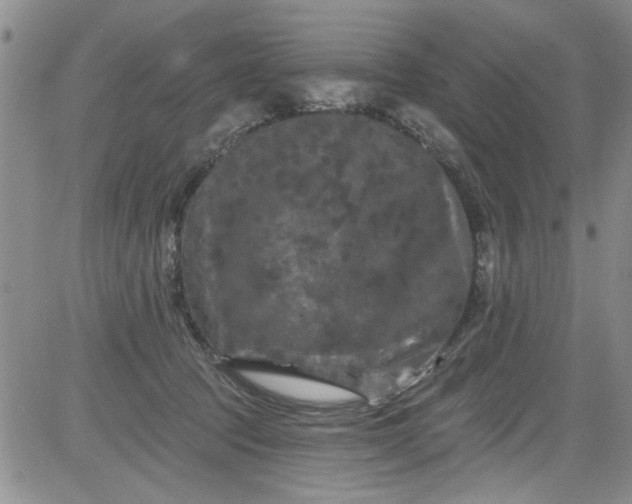 X0000084050369200703022221