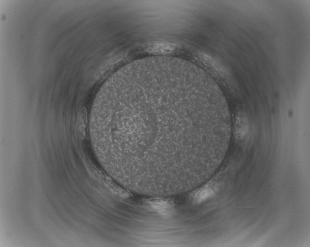 X0000084050370200703022221