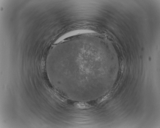 X0000084050372200703022221