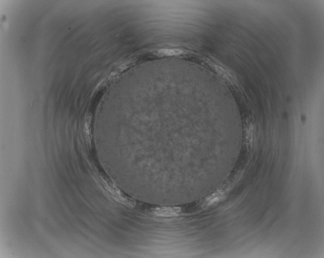 X0000084050373200703022221